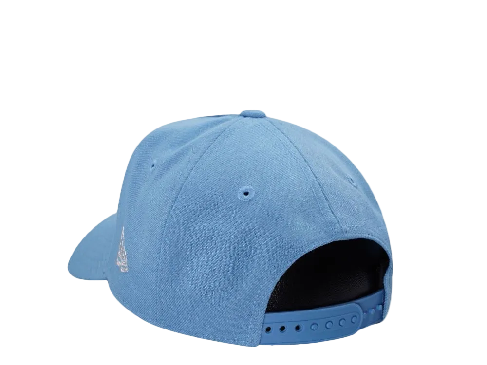 Ducks Iced Out Blue