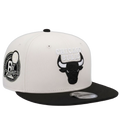 Bulls 6X Champs Chrome
