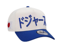 LA Dodgers Kanji Crhome